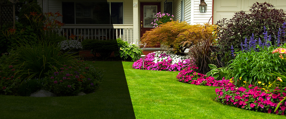 Fort Belvoir Landscapers