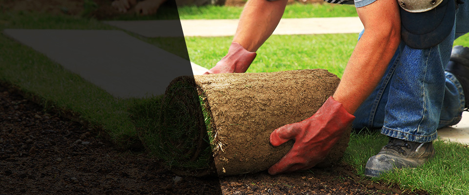 Fort Belvoir Landscapers